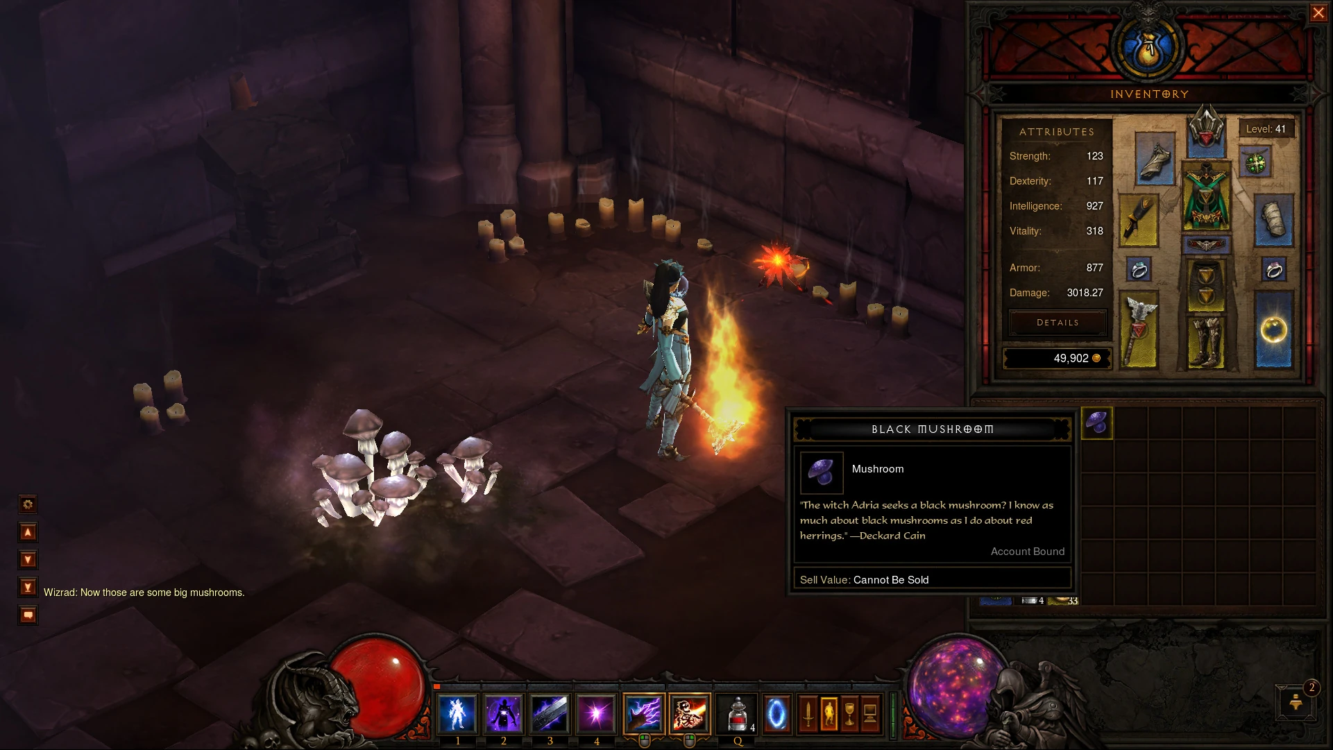 Image Black mushroom.jpg Diablo Wiki FANDOM powered by Wikia