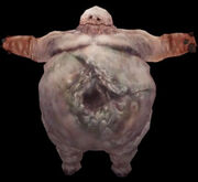 PoorGrotesque