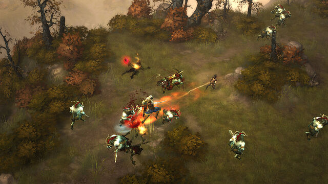 Fichier:Follower-templar01-large.jpg