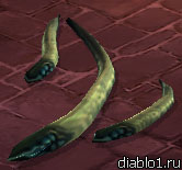 Corpse-worm