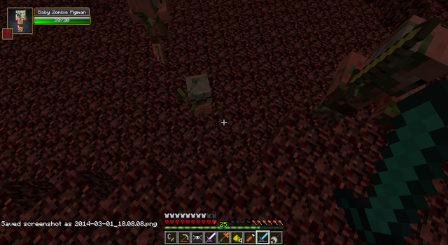 Ficheiro:2014-03-01 18.08.11.png