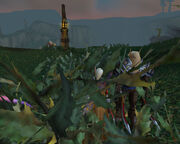 CevielNorthrend005