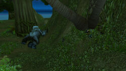Laleh-adventure-01-028