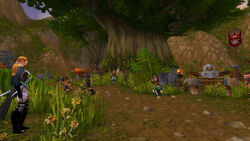 Laleh-adventure-01-018