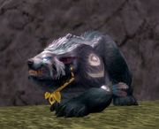 Kohlepelzbär.png