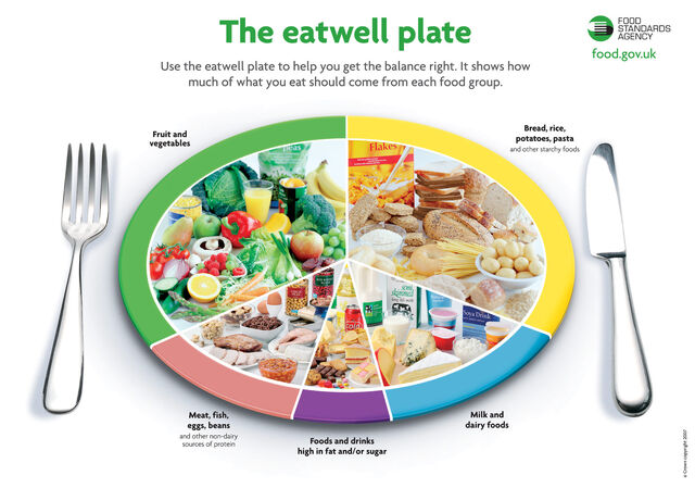 File:Eatwellplatelarge2.jpg