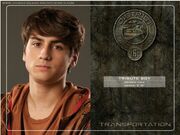 District 6 tribute boy.jpg