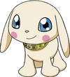 Salamon t