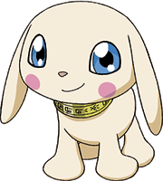 Salamon t