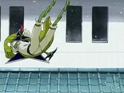Bungee-Salto
