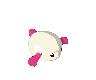 File:Paomon.gif