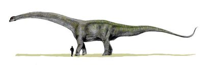 Futalognkosaurus.jpg