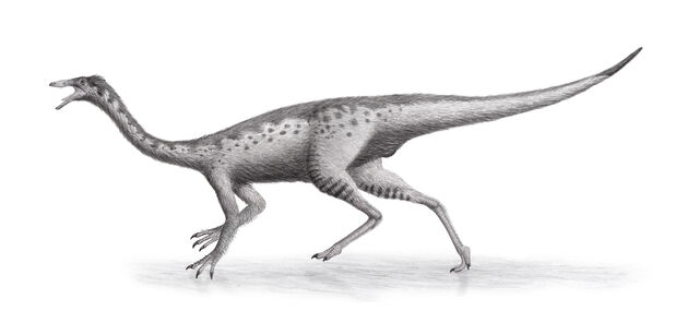 File:Gallimimus Steveoc86.jpg