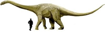 Austrosaurus