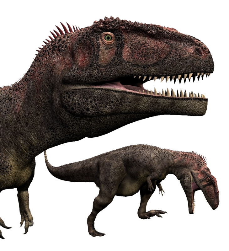 Mapusaurus Dinosaur Wiki FANDOM powered by Wikia