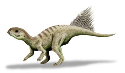 Chaoyangsaurus.jpg