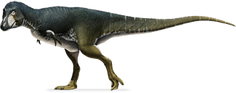 Lythronax-bigger
