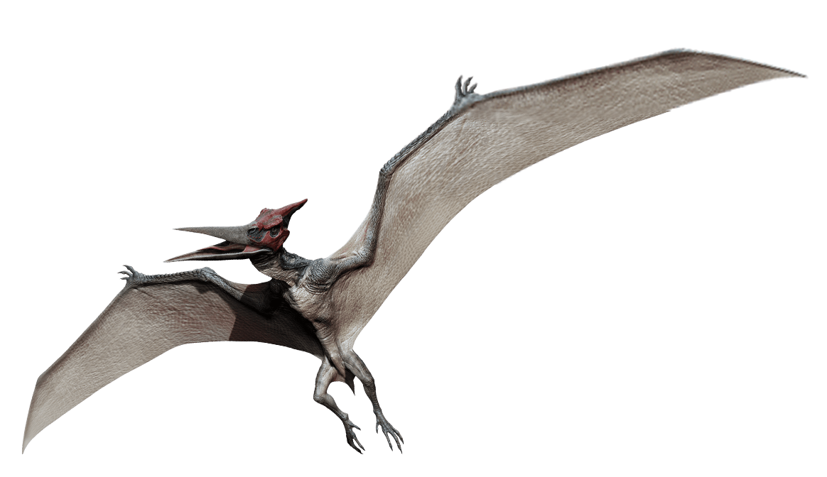 Resultado de imagen de PTERANODON