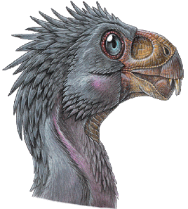 Incisivosaurus gauthieri-web