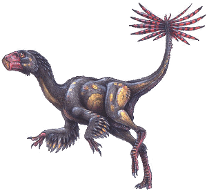 Caudipteryx zoui