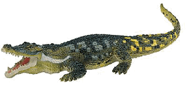 Deinosuchas Carnegie