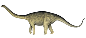 Rhoetosaurus