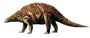 7974402 orig