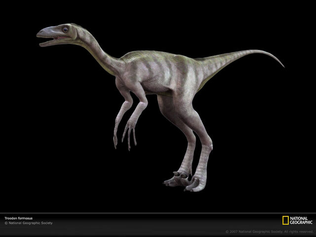 File:Troodon-lw.jpg