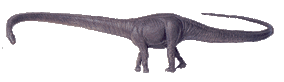 Barosaurus1