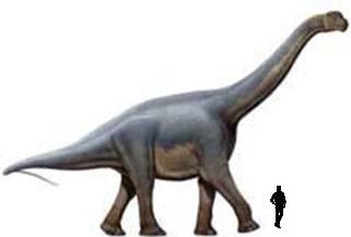 Aragosaurus.jpg