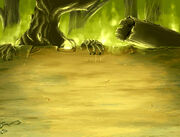 Haunted Hills Fight