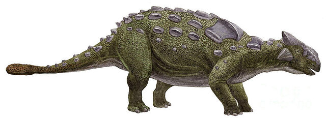 File:Ankylosaurus-magniventris-sergey-krasovskiy.jpg