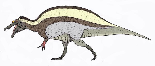 File:Spinosaurus aegyptiacus by themorlock-d52xjgw-1-.jpg