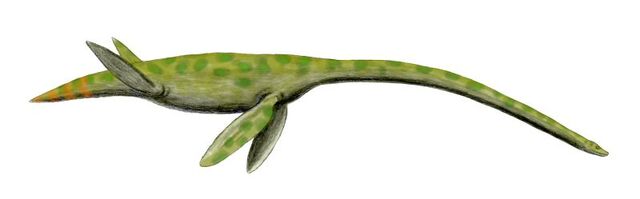 Datei:Styxosaurus dinosaur.wiki.jpg