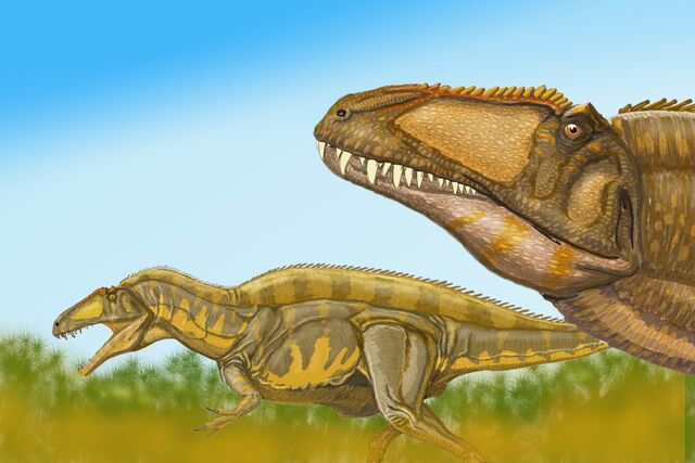 Datei:Acrocanthosaurus dinosaur.wiki.jpg