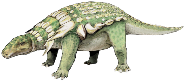 Datei:Edmontonia.png