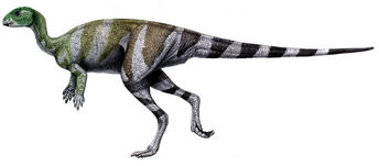 Othnielia-nhm.ac.uk