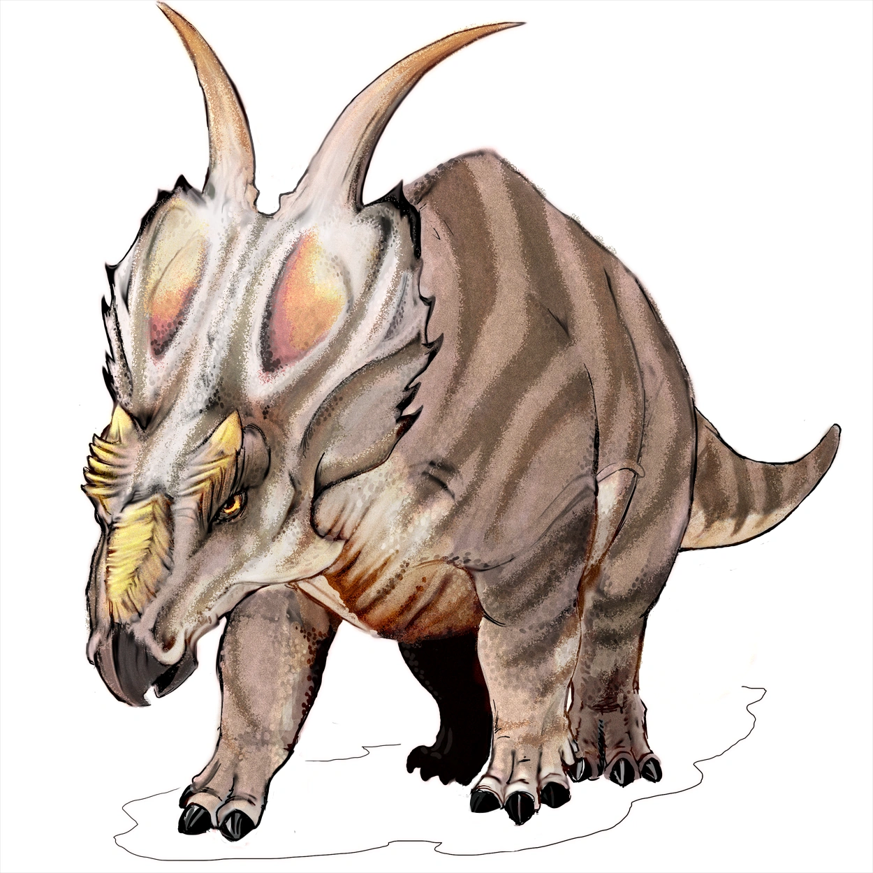 Achelousaurus Dinosaurier Wiki FANDOM powered by Wikia