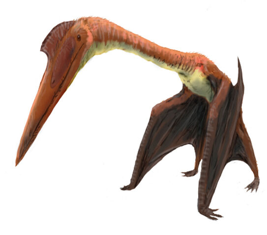 Datei:Phosphatodraco dinosaur.wiki.jpg