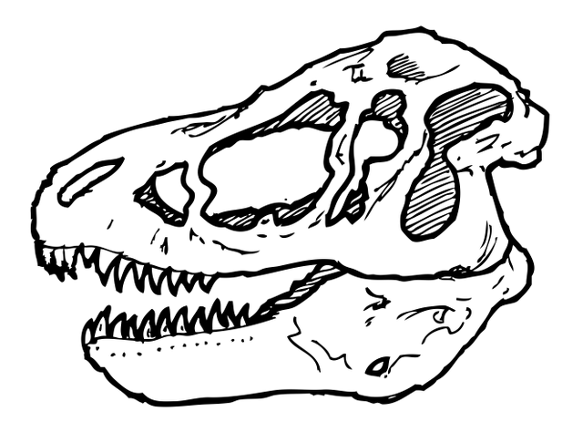 Datei:Tyrannosaurus-skull-icon-by-Dactrtr-from-Nounproject-left.png