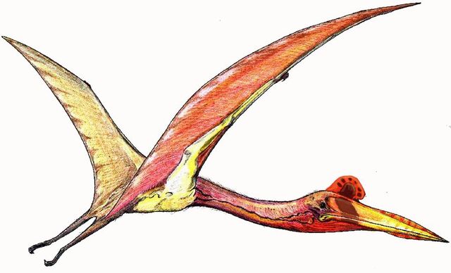 Datei:Quetzalcoatlus dinosaur.wiki.jpg