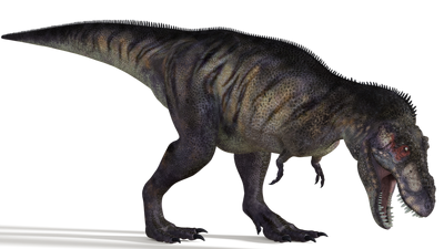 Tyrannosaurus 02 by 2ndecho-d55j2dv