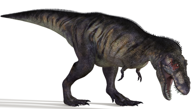 File:Tyrannosaurus 02 by 2ndecho-d55j2dv.png