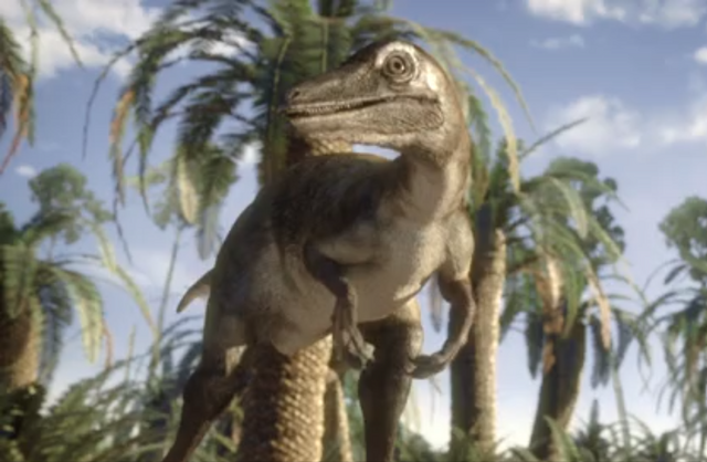 File:Saurornithoides 3.png