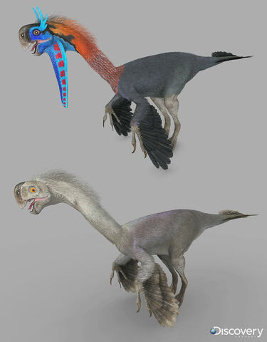 File:Gigantoraptors.jpg