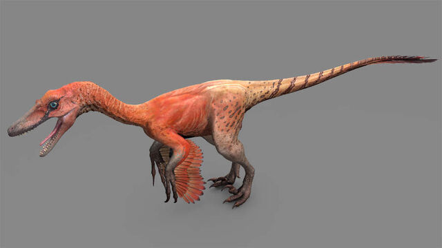 File:Velociraptor.jpg