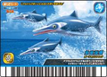 Thumbnail for version as of 16:51, September 13, 2011