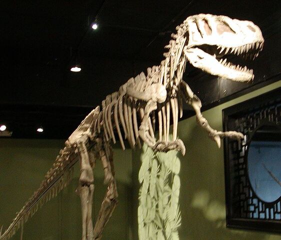 File:Sinraptor hepingensis.jpg