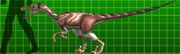 Velociraptor