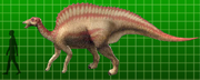 Ouranosaurus